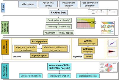 Comparative expression analysis of water buffalo (Bubalus bubalis) to identify genes associated with economically important traits